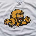 PHA Prowlers