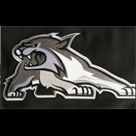 PHA Prowlers